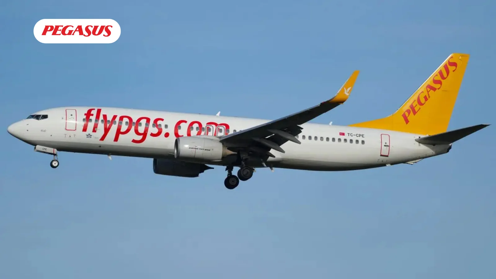 Pegasus, Bütünleşik ve Verimli Dijital Yönetim Sistemleri İçin Bimser QDMS, Ensemble ve eBA Plus’ı Tercih Etti